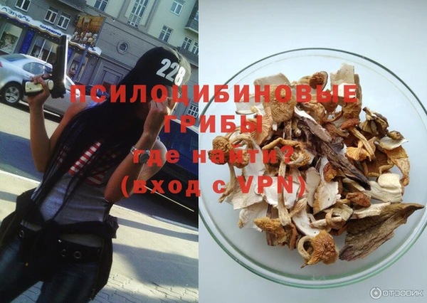 ешки Абаза