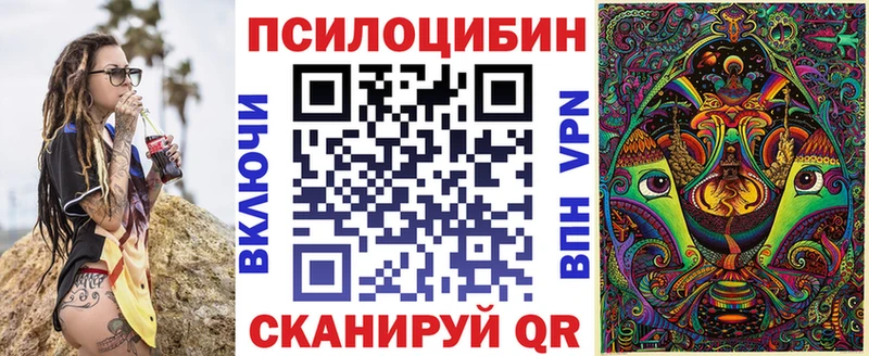 Псилоцибиновые грибы Cubensis  darknet как зайти  Берёзовка 